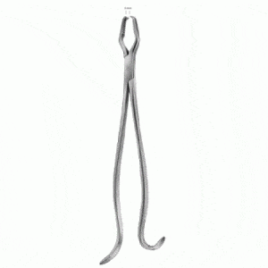 Bone Holding Forcep